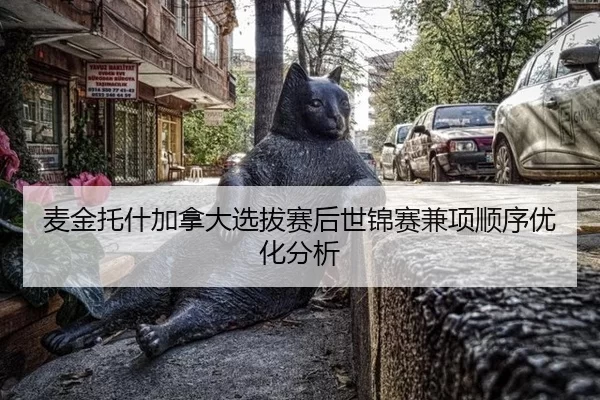 麦金托什加拿大选拔赛后世锦赛兼项顺序优化分析